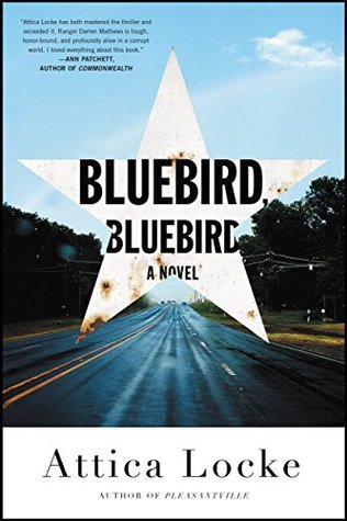 Bluebird, bluebird book cover